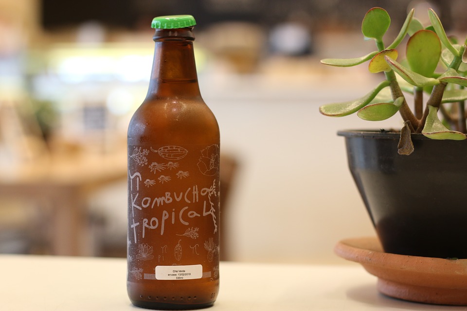 Kombucha les bienfaits, la préparation et le stockage