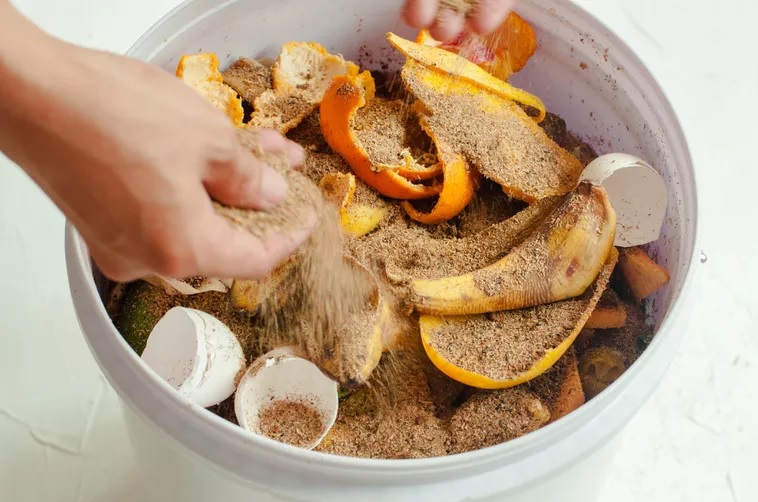 Compost Bokashi : comment ça fonctionne ? Présentation